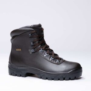 Alpen II GTX Marrone